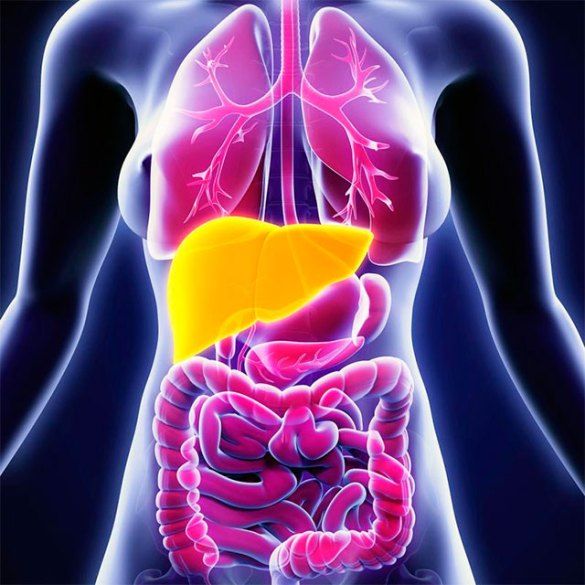 `El hígado graso metabólico debe ser controlado por sus múltiples factores de riesgo´