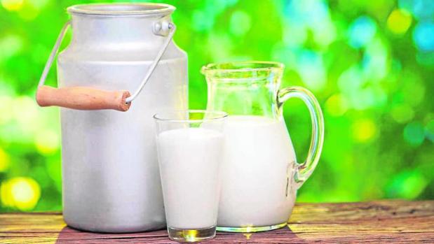 Alergia a las proteínas de la leche de vaca, recomendaciones nutricionales