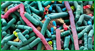 El microbioma intestinal es sensible a los cambios de las hormonas sexuales