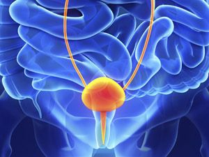 Enfortumab Vedotin y Pembrolizumab en el cáncer urotelial avanzado no tratado