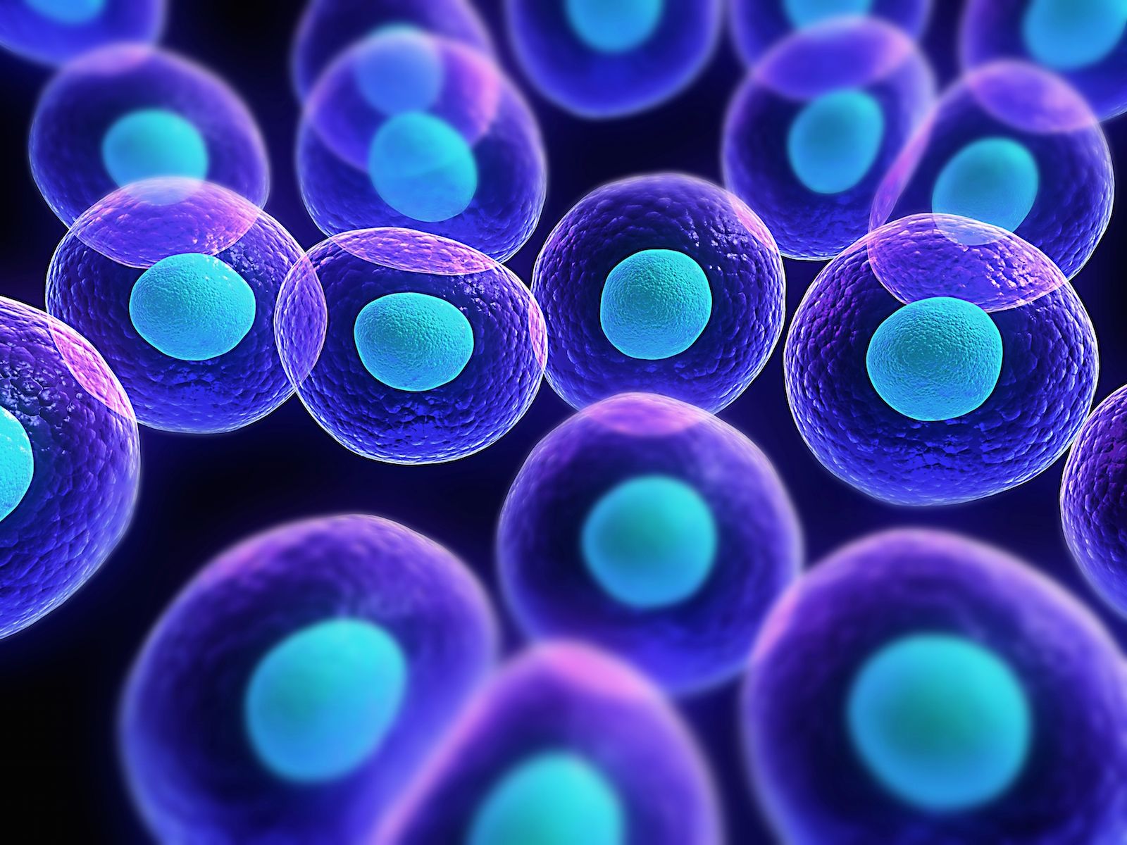 La investigación con células madre sanguíneas puede revertir la medicina del futuro