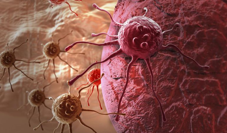 Logran regular la proteína asociada al empeoramiento en la mayoría de los cánceres