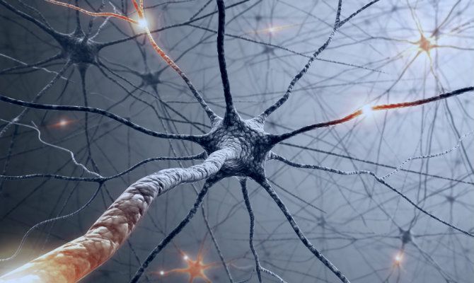 Encuentran variaciones en la conectividad efectiva del cerebro en pacientes con depresión