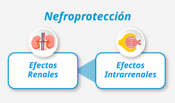 Mecanismos nefroprotectores de los arGLP-1 en Diabetes.