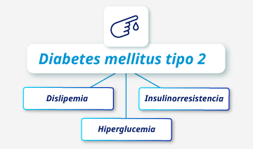 Diabetes asociada a inflamación crónica y ateroesclerosis.