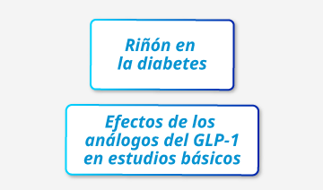 Efectos de los análogos del GLP-1 sobre cambios estructurales presentes en
la nefropatía diabética.