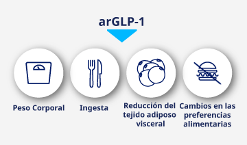 arGLP-1 y control del peso corporal.