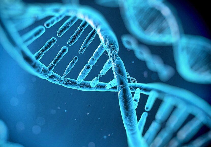 ‘EURAS’ investiga las RASopatías, unos trastornos genéticos poco frecuentes que afectan al neurodesarrollo