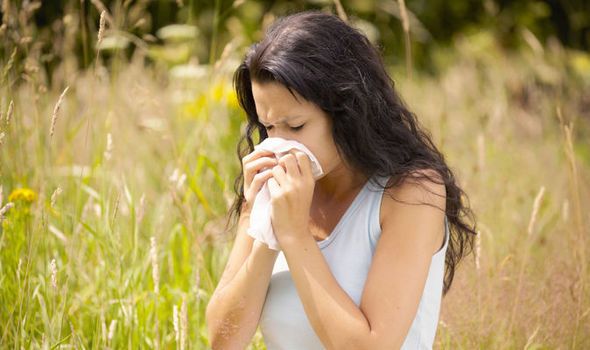 Insectos, sol y alimentos, las causas de alergias más comunes en verano