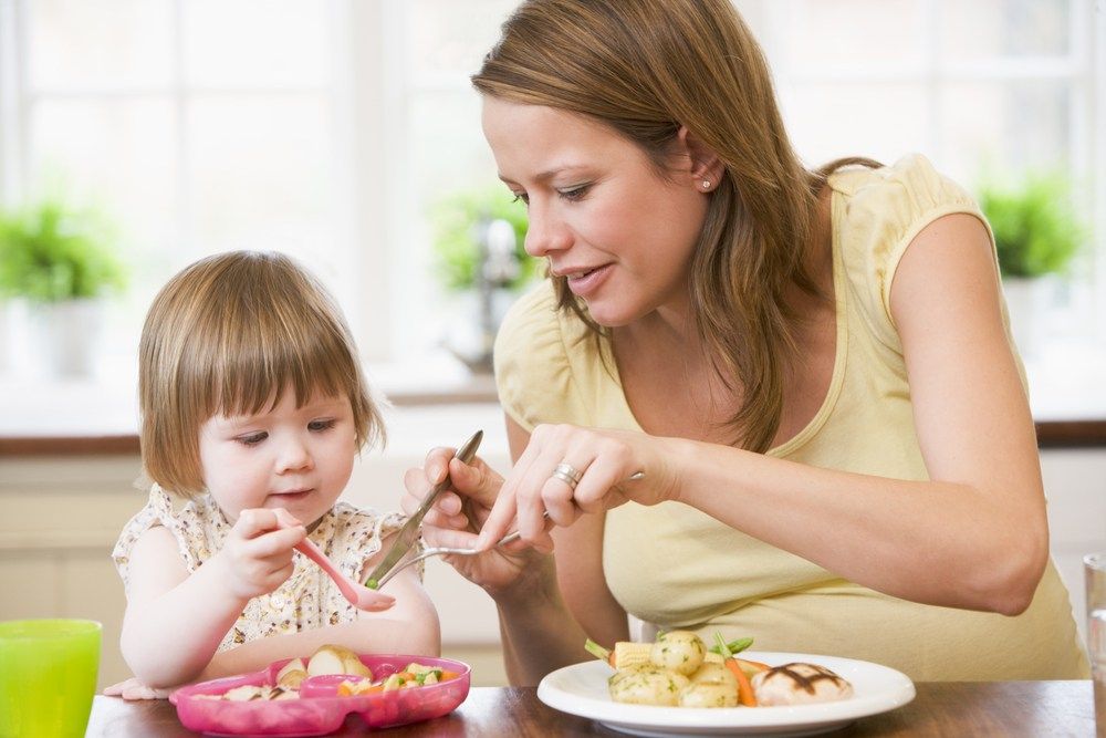 ¿Qué factores tienen en cuenta las madres al elegir sus alimentos? Implicancias para la promoción de hábitos alimentarios saludables familiares.