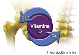 Calcio y vitamina D en su justa dosis para mejorar la eficacia antifracturas