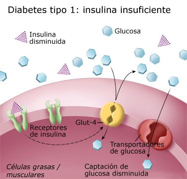 Concentración de vitamina D en niños diabéticos de tipo 1. Asociación con el control glucémico y el metabolismo óseo y lipídico