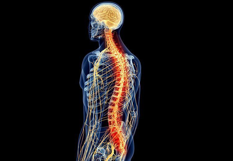 Estudio observacional y prospectivo sobre la eficacia y seguridad de la estimulación del ganglio de la raíz dorsal en pacientes con dolor neuropático refractario