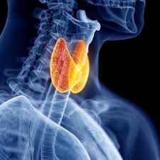 Alertan de la ausencia de eficacia de vandetanib en un subgrupo de pacientes con cáncer de tiroides